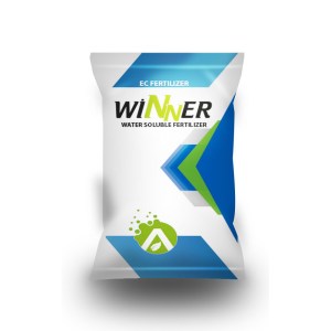 Winner kopya